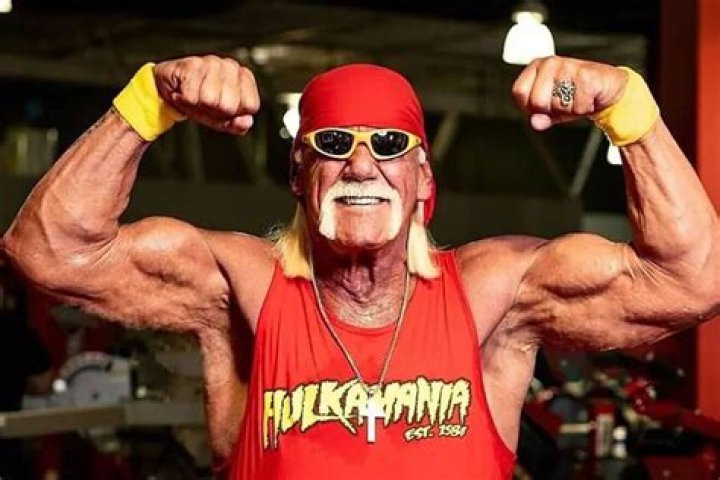 Decoding the Hulk Hogan Sex Type: An Insight into the Iconic Wrestler's Persona