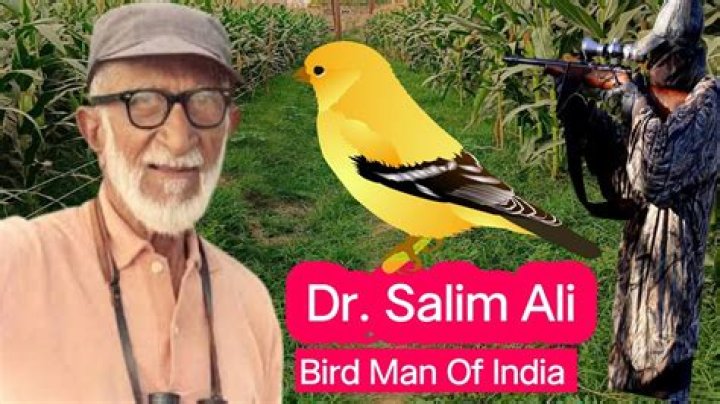Exploring the Life and Career of Dar Salim: A Comprehensive Biography