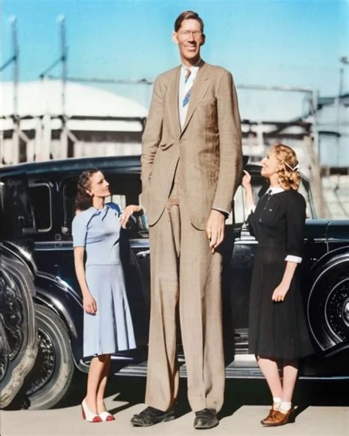How Tall Was Robert Blake? Unveiling the Height of a Hollywood Icon