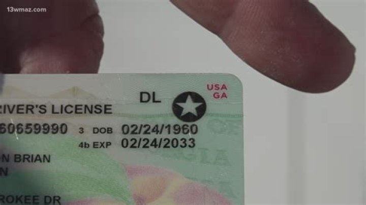 Olivia Rodrigo's Financial Status Before "Drivers License": A Surprising Revelation