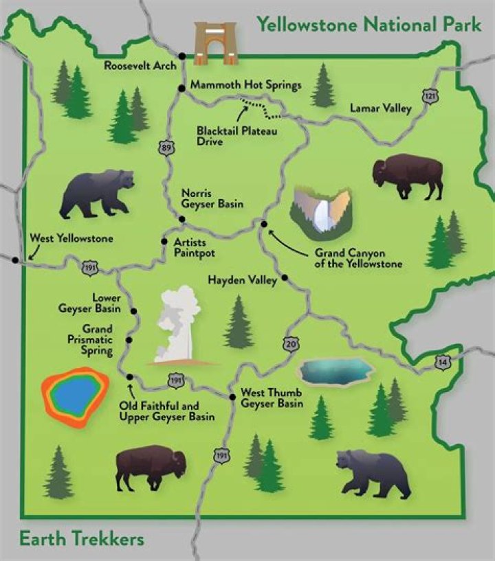 The Ultimate Guide to Yellowstone's Rip Wheeler
