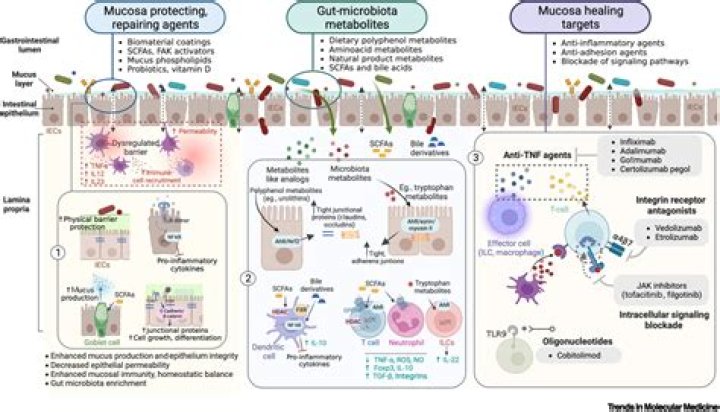 Unraveling the Intricacies of Riggs in Grey's Anatomy
